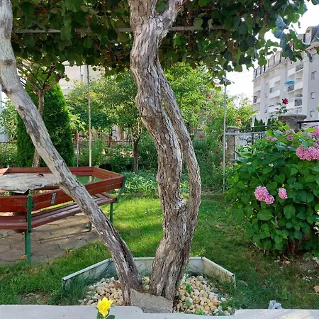 Ana Apartments Ohrid Exterior photo