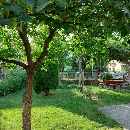 Ana Apartments Ohrid Exterior photo